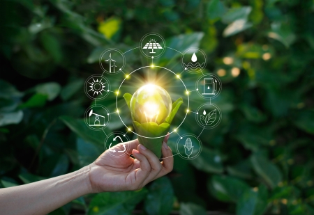 A person holding a lightbulb surrounded by greenery.